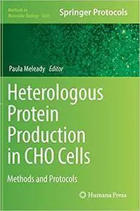 Heterologous Protein Production in CHO Cells: Methods and Protocols