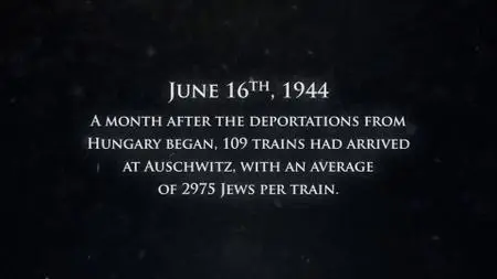BBC - 1944: Should We Bomb Auschwitz? (2019)