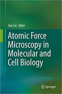 Atomic Force Microscopy in Molecular and Cell Biology (Repost)