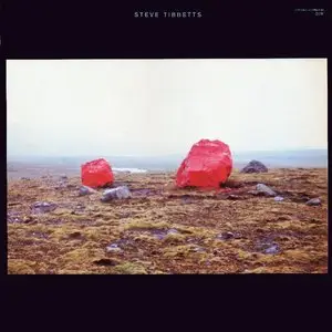 Steve Tibbetts - Exploded View - 1986  (24/96 Vinyl Rip)