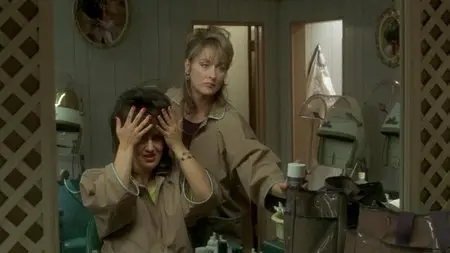 Marvin's Room (1996)