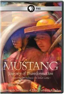 PBS - Mustang: Journey of Transformation (2010) [Repost]