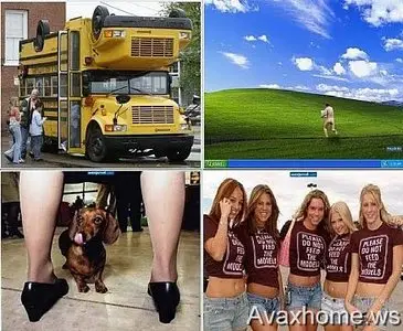 196 Photo Humor
