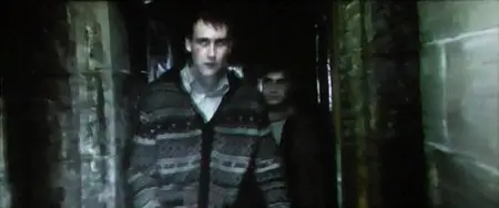 Harry Potter E I Doni Della Morte Seconda Parte (2011)
