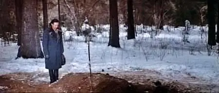 Akira Kurosawa-Dersu Uzala (1975)