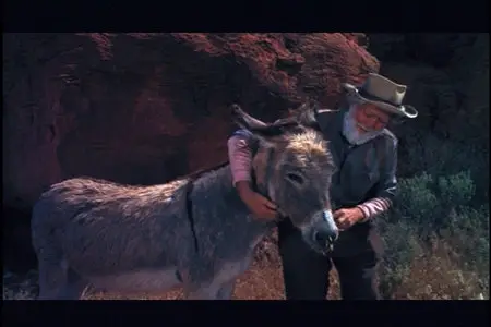 Brighty of the Grand Canyon (1967)