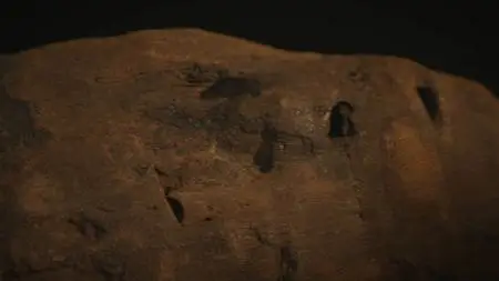 Sci Ch. - Egypt's Unexplained Files Part 9: Armageddon on the Nile (2019)