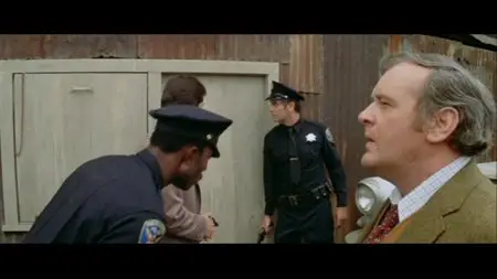 Mr. Ricco (1975)