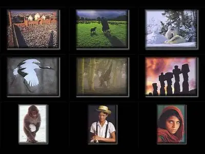Equilibrium - National Geographic Photogallery (Part 11)