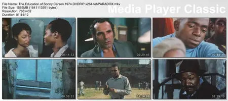 The Education Of Sonny Carson (1974)