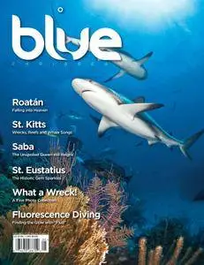 Blue Magazine - May 01, 2013