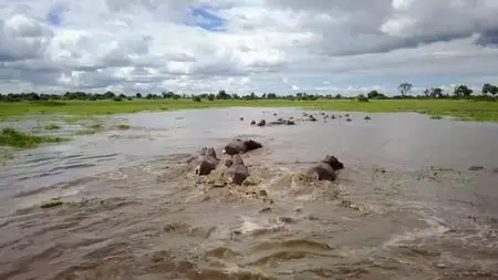 PBS - Nature Series 38 Part 5: Okavango: River of Dreams :Episode 2 Limbo (2019)