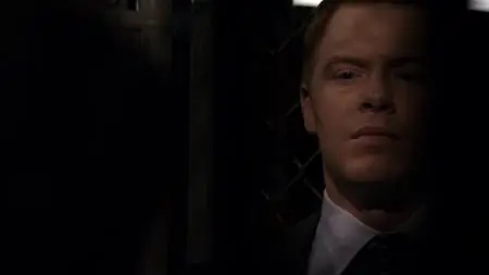 The Blacklist S02E13