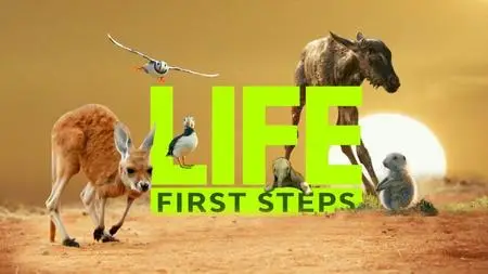 Discovery Channel - Life: First Steps (2018)