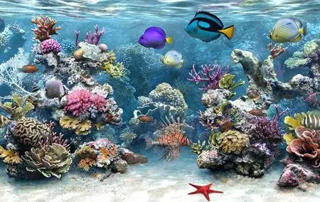 Sim AQUARIUM screensaver