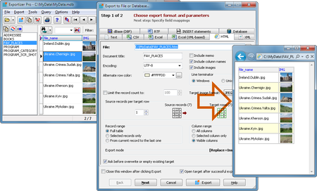 Exportizer Pro 6.1.9.7 Multilingual