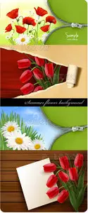 Summer flower background