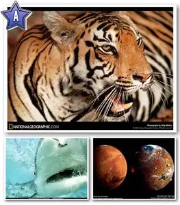 100 Amazing National Geographic Wallpapers [Set 32]