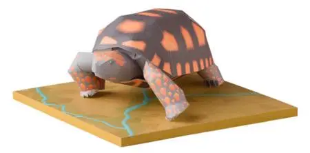 Yellow Footed Tortoise, Paper Craft Model