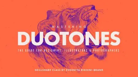 Mastering Duotones in Adobe Photoshop