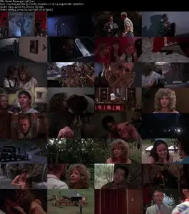 Sweet Revenge (1987) 