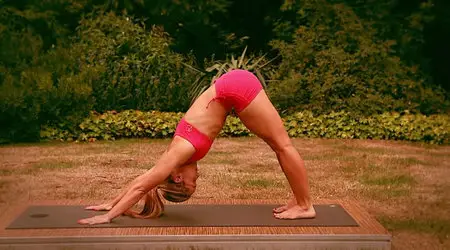 Yoga for Beginners with Kino MacGregor : Ashtanga Yoga (2014) [repost]