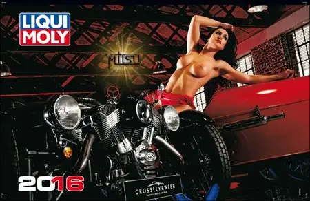 LIQUI MOLY - Official Calendar 2016 (Version 2)