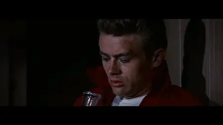 Rebel Without a Cause (1955)