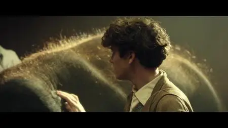 Zoo (2018)