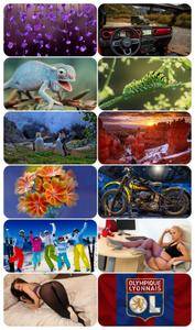 Beautiful Mixed Wallpapers Pack 684