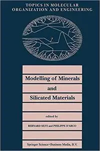 Modelling of Minerals and Silicated Materials