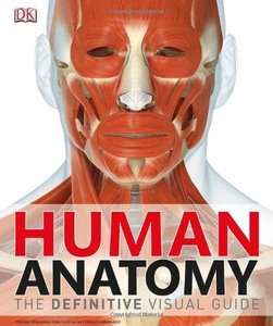 Human Anatomy: The Definitive Visual Guide (Repost)