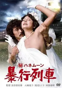 Secret Honeymoon: Rape Train (1977)