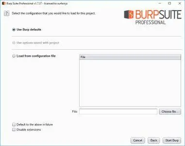 Burp Suite Professional 1.7.37