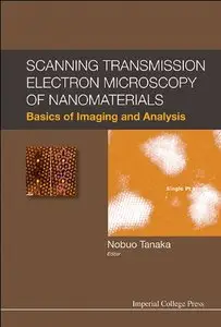 Scanning Transmission Electron Microscopy of Nanomaterials: Basics of Imaging Analysis (repost)
