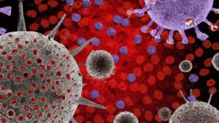 World Of Immunology - A Comprehensive Tour