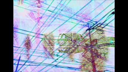 Serial Experiments Lain S01E11 REPACK