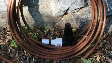 Drip Irrigation - Convert Your Spray System to Save Water