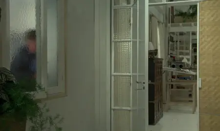The Professional (1981)