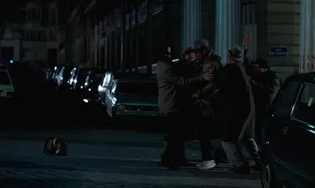 The Professional (1981)