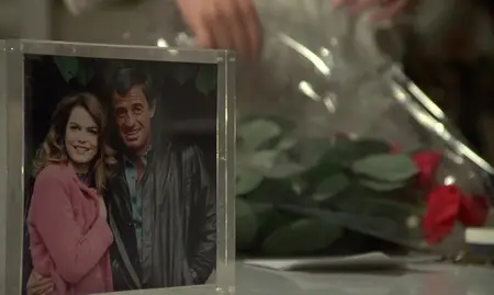 The Professional (1981)