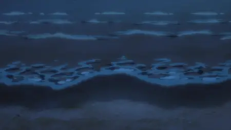 Summer Pockets S01E22 Towards that Summer
