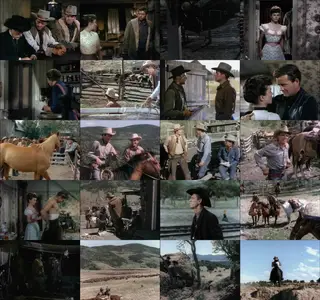 Vengeance Valley (1951)