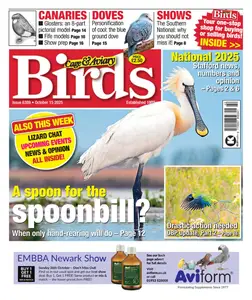 Cage & Aviary Birds - 15 October 2025
