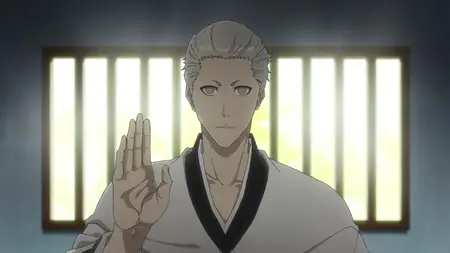 Sokudo Bleach Sennen Kessen-hen Soukoku-tan S17E29