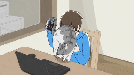 Nights with a Cat - 61v2