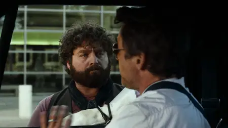 Due Date (2010) [Open Matte]