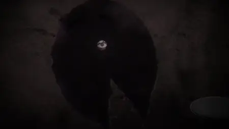 Dark Gathering - 19v2