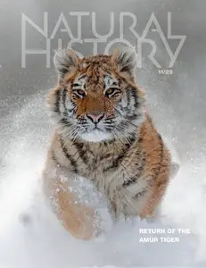 Natural History - November 2025