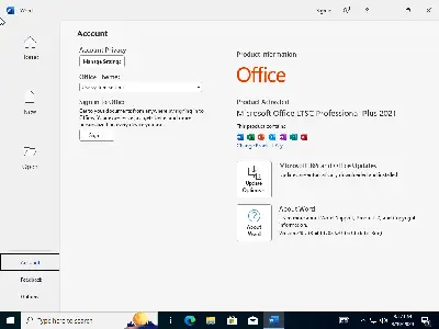 Windows 11 (No TPM Required) & Windows 10 AIO 32in1 With Office 2021 Pro Plus Multilingual Preactivated August 2024